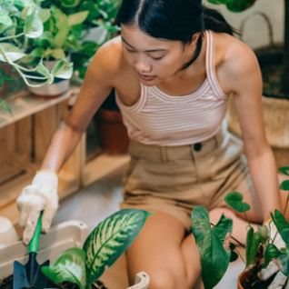 10 idées pour sensibiliser les élèves à l'environnement 