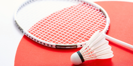 Stage Badminton en Auvergne