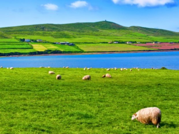 Paysage en Irlande ou vont aller les jeunes en itinérance cet été