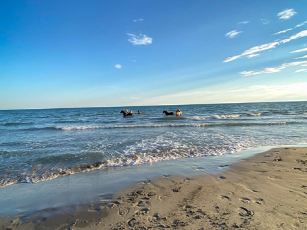 balade cheval en camargue sur la plage été