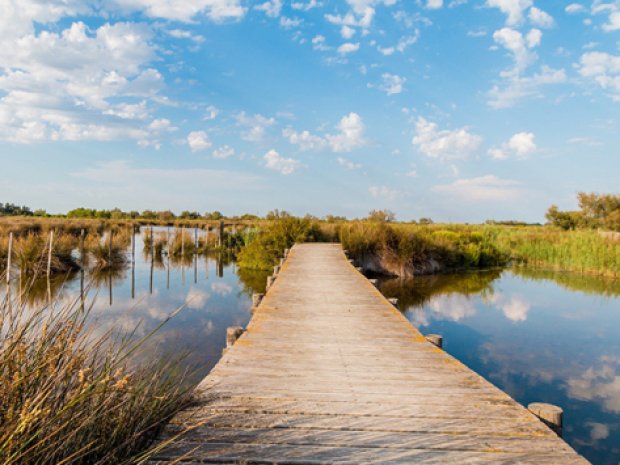paysage étang camargue été saintes maries de la mer