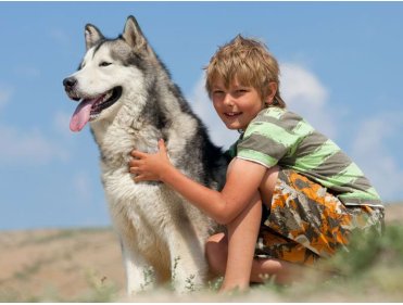 Nature et Cani-Rando