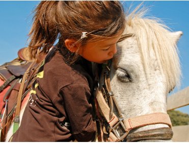 Classe poney nature