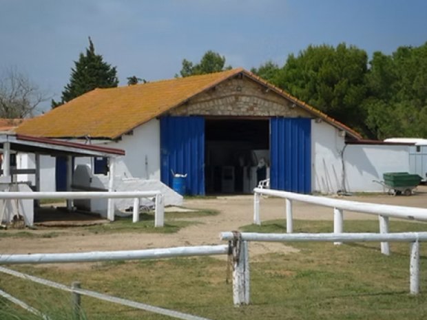 photographie de l'écurie du domaine pour une colo cet été
