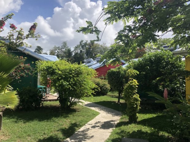Vue sur la végétation aux alentours de l'hôtel Rotabas en Guadeloupe lors d'une colonie de vacances pour ados