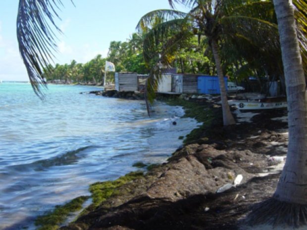 Vue sur la plage à côté de l'hôtel Rotabas en Guadeloupe lors d'une colonie de vacances pour ados