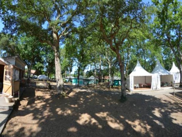 Vue extérieure du centre avec de la verdure et des arbres