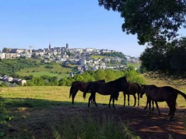 Paysage de la campagne de l'Aveyron en France