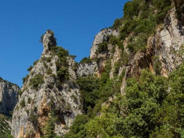 Paysage d'Ardèche en colo