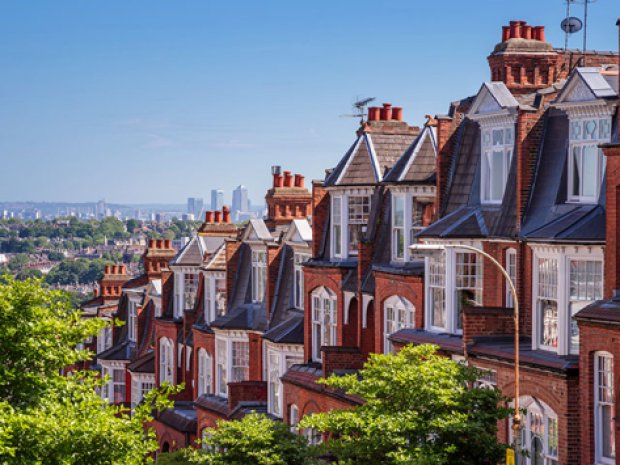 quartier sud de londres famille d'accueil colonie de vacances toussaint