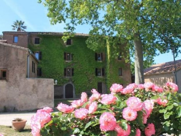 Vue sur des fleurs et le Château de la colonie de vacances