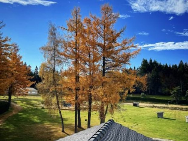 Vue sur l'extérieur du centre de vacances du Mont Joyeux