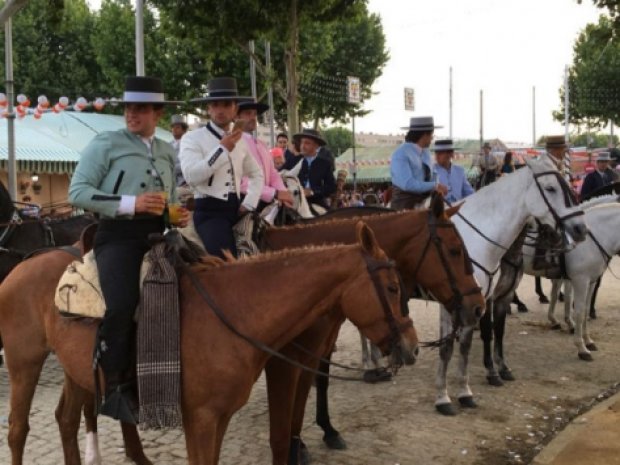 Chevaux d'Andalousie en colonie de vacances en Espagne