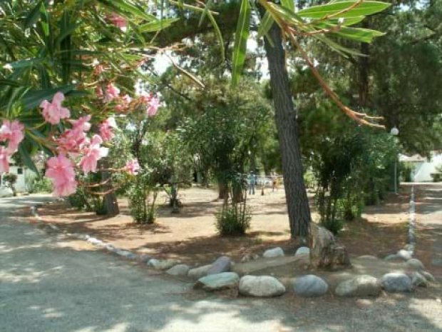 Hébergement de la colonie de vacances en Corse