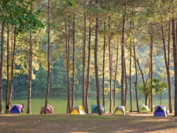 Hébergement en bivouac dans les forêts de Corse en colonie de vacances