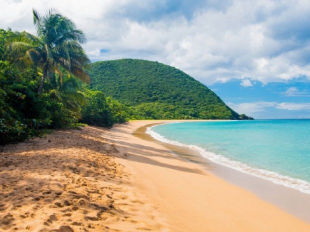 Plage paradisiaque de la Guadeloupe