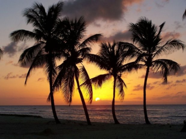 Couché de soleil sur les plages de Guadeloupe
