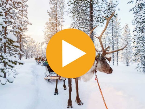 Vidéo colonie de vacances en Finlande