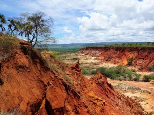 Parc National de Madagascar