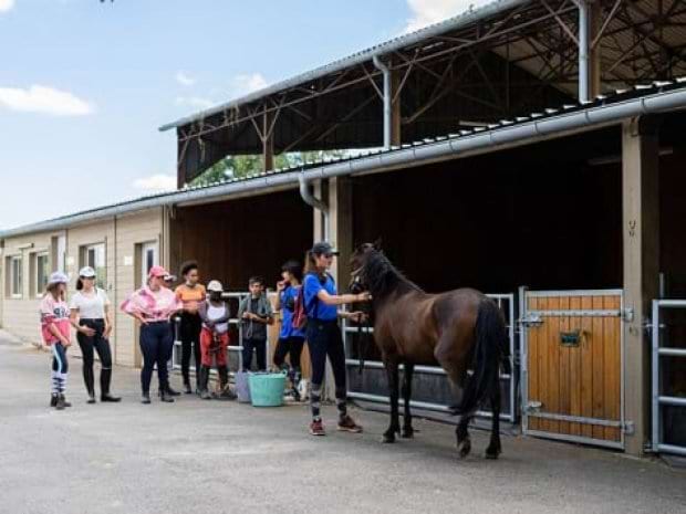 Box des chevaux au centre de colo de vacances au domaine de l'Espérance